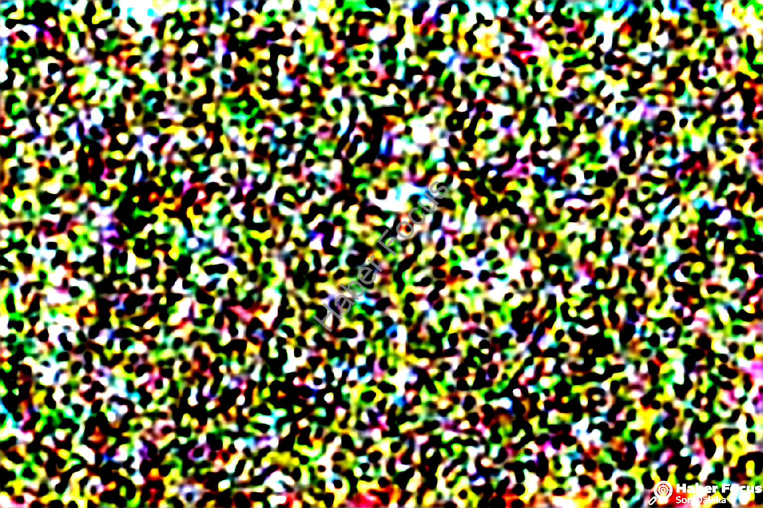 İstikbal Regina Mutfak Fiyatları