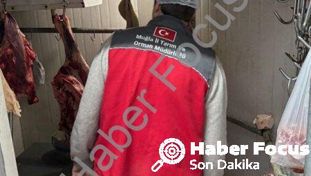 Menteşe’de Gıda Güvenliği Seferberliği: Kasaplar Mercek Altına Alındı