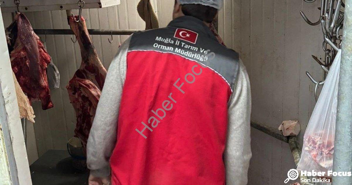 "Menteşe'de Gıda Güvenliği Seferberliği: Kasaplar Mercek Altına Alındı" başlıklı haber için fotoreal