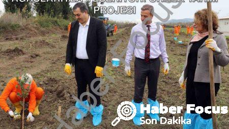 Dalaman’da Cezaevi Arazisi Sakız Ağaçlarıyla Yeşeriyor: Örnek Tarım Projesi