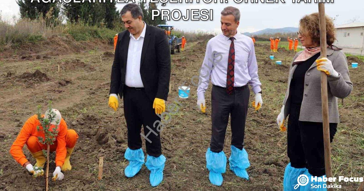 "Dalaman'da Cezaevi Arazisi Sakız Ağaçlarıyla Yeşeriyor: Örnek Tarım Projesi" başlıklı haber için fo