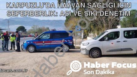 Karpuzlu’da Hayvan Sağlığı İçin Seferberlik: Aşı ve Sıkı Denetim