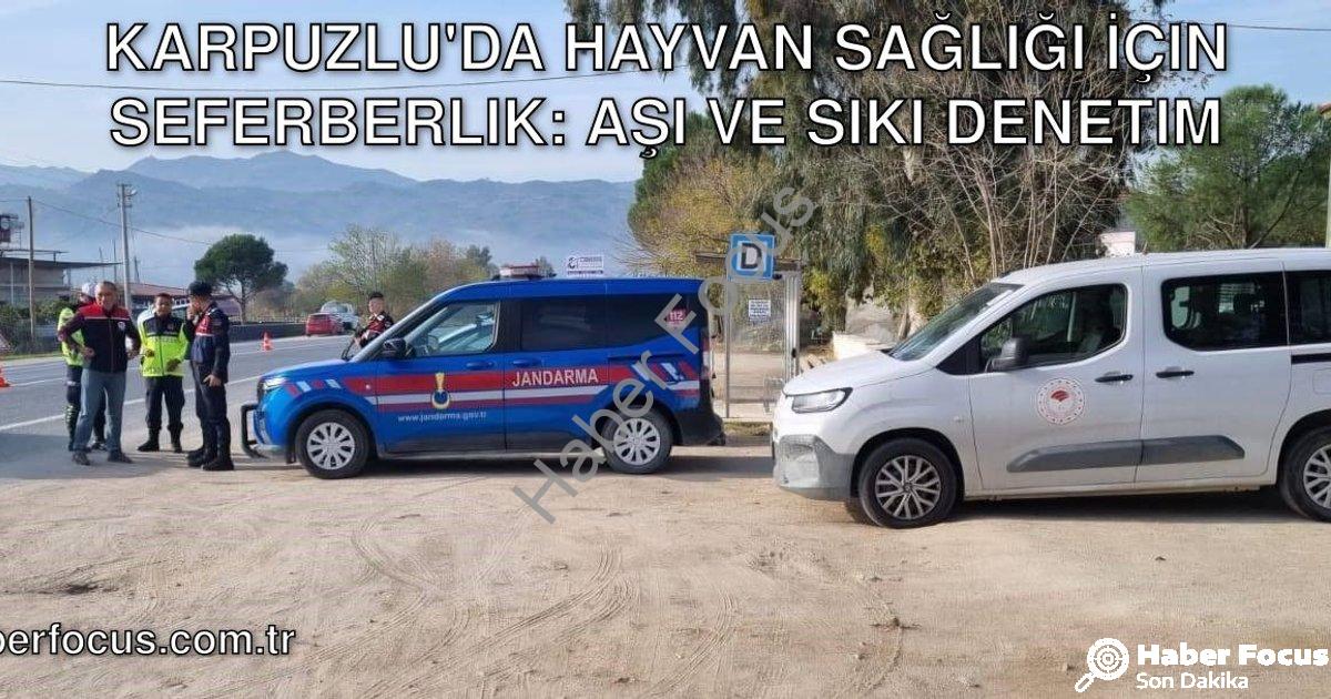 "Karpuzlu'da Hayvan Sağlığı İçin Seferberlik: Aşı ve Sıkı Denetim" başlıklı haber için fotorealistik