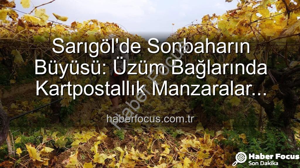 Sarıgöl üzüm bağları - Sarıgöl'de Sonbaharın Büyüsü: Üzüm Bağlarında Kartpostallık Manzaralar Eşliğinde Budama Çalışmaları Sürüyor