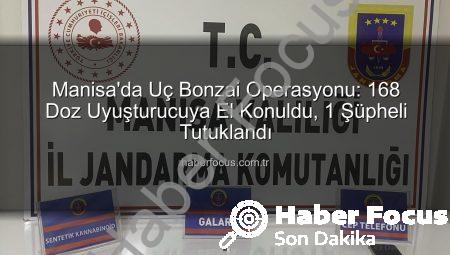 Manisa’da Uç Bonzai Operasyonu: 168 Doz Uyuşturucuya El Konuldu, 1 Şüpheli Tutuklandı