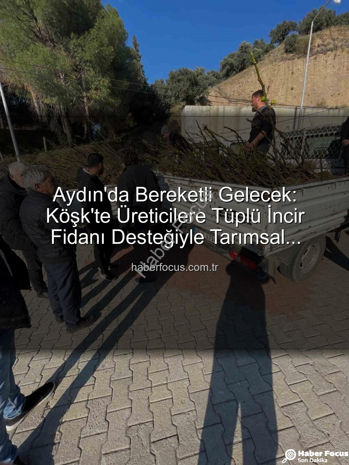 tüplü incir fidanı - Aydın'da Bereketli Gelecek: Köşk'te Üreticilere Tüplü İncir Fidanı Desteğiyle Tarımsal Üretime Güçlü Katkı