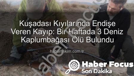 Kuşadası Sahillerinde Endişe Veren Kayıp: Bir Haftada 3 Deniz Kaplumbağası Ölü Bulundu