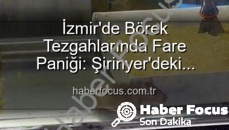 İzmir’de Börek Tezgahlarında Fare Paniği: Şirinyer’deki Hijyen Skandalı Mühürlendi