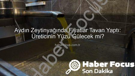 Aydın Zeytinyağında Fiyatlar Tavan Yaptı: Üreticinin Yüzü Gülecek mi?