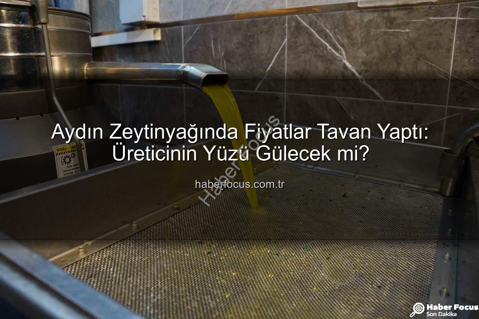zeytinyağı fiyatları - Aydın Zeytinyağında Fiyatlar Tavan Yaptı: Üreticinin Yüzü Gülecek mi?