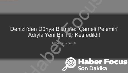 Denizli’den Dünya Bilimine: ‘Çameli Pelemiri’ Adıyla Yeni Bir Tür Keşfedildi!