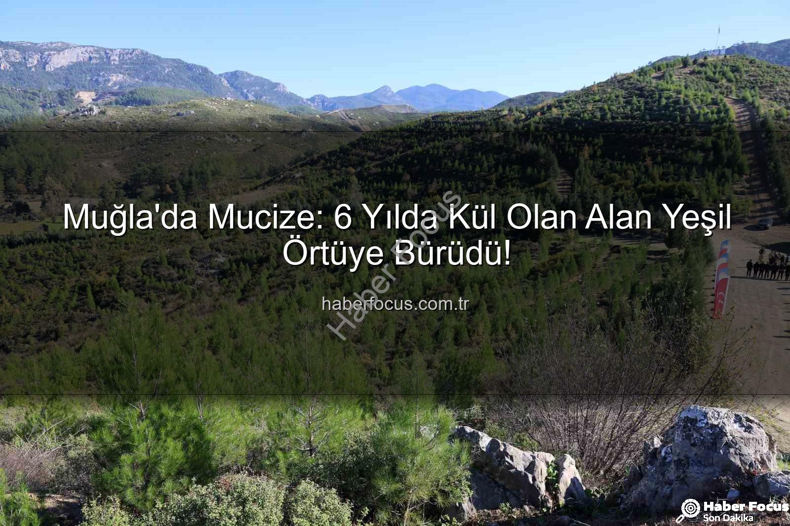 Muğla yanan alanlar - Muğla'da Mucize: 6 Yılda Kül Olan Alan Yeşil Örtüye Bürüdü!