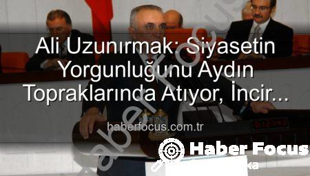 Ali Uzunırmak: Siyasetin Yorgunluğunu Aydın Topraklarında Atıyor, İncir Üretimiyle Değer Katıyor