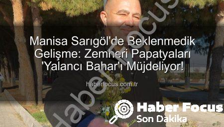 Manisa Sarıgöl’de Beklenmedik Gelişme: Zemheri Papatyaları ‘Yalancı Bahar’ı Müjdeliyor!